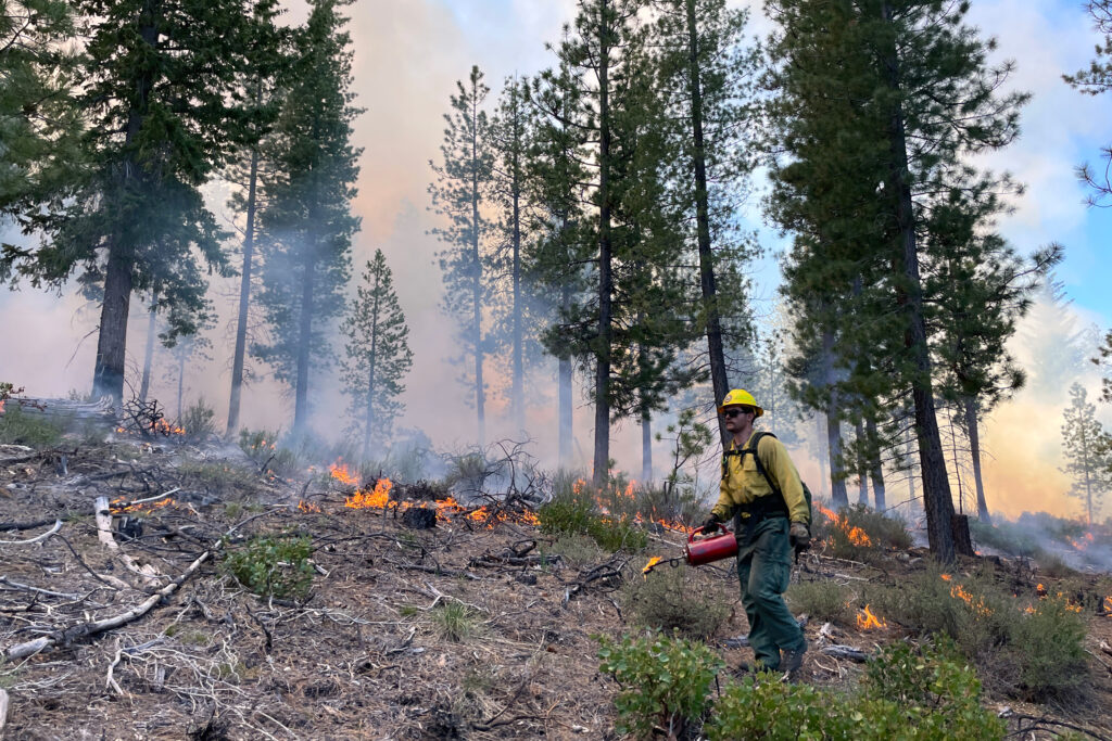 US-Forest-Service_Prescribed-Burn