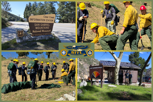 04_07_2026_ForestWorkers_V2